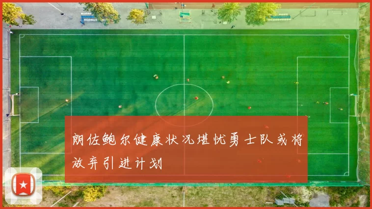 朗佐鲍尔健康状况堪忧勇士队或将放弃引进计划