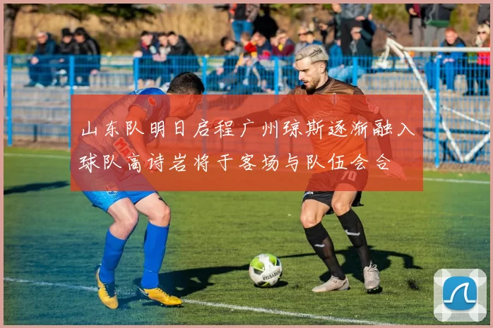 山东队明日启程广州琼斯逐渐融入球队高诗岩将于客场与队伍会合